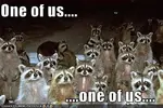 one-of-us-one-of-us.webp