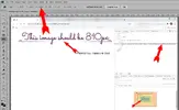 WTF.webp