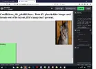 CardBrkout.webp