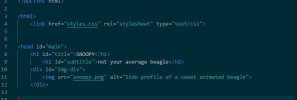 HTML-img-div-problem.jpg