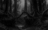 133475-gothic-forest-trees-fantasy-river-mood-996242673.jpeg
