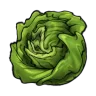 Lettuce