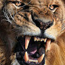 Lionviper007