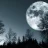 MasqueradeOfSilence