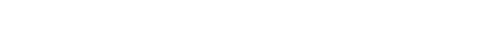 www.dynamisk-netvaerk.dk
